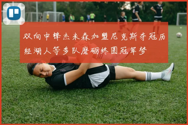 双向中锋杰米森加盟尼克斯夺冠历经湖人等多队磨砺终圆冠军梦