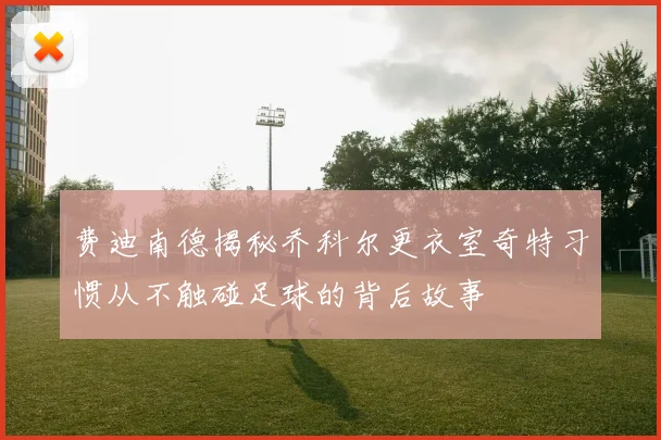 费迪南德揭秘乔科尔更衣室奇特习惯从不触碰足球的背后故事