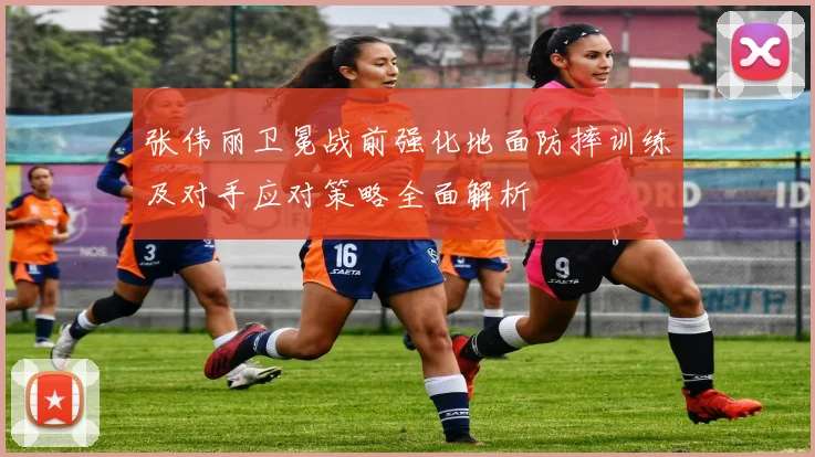 张伟丽卫冕战前强化地面防摔训练及对手应对策略全面解析