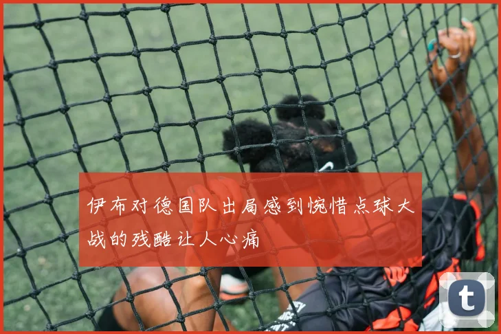 伊布对德国队出局感到惋惜点球大战的残酷让人心痛