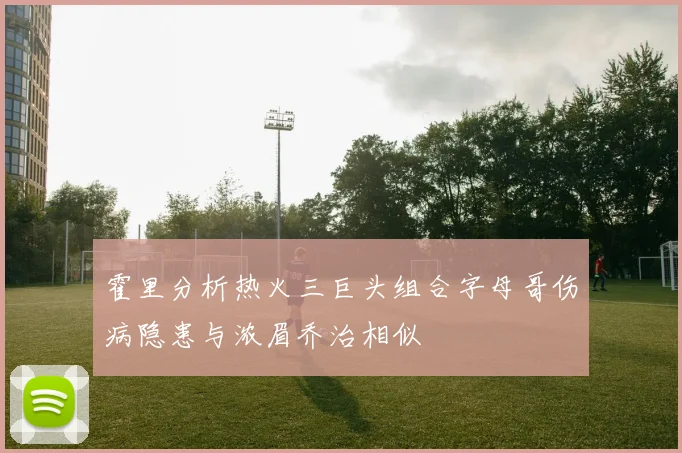 霍里分析热火三巨头组合字母哥伤病隐患与浓眉乔治相似